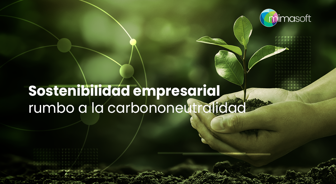 Sostenibilidad empresarial