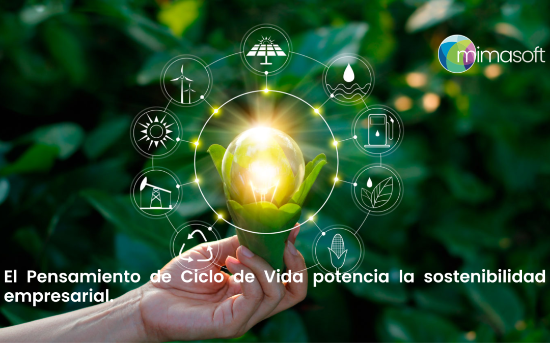 Cómo implementar el Pensamiento de Ciclo de Vida en tu empresa